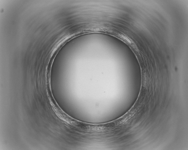 X0000058771039200510211718