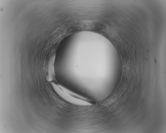 X0000058771058200510211717
