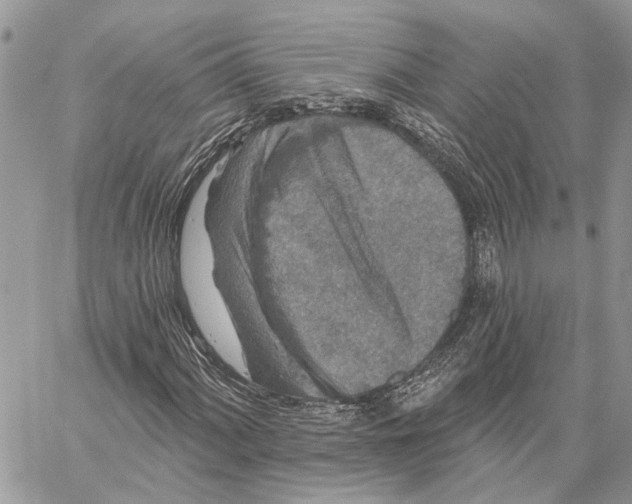 X0000058771060200510211717