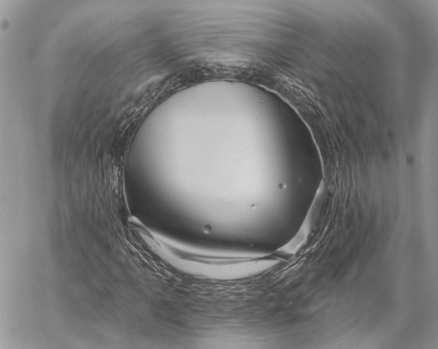 X0000058771061200510211717