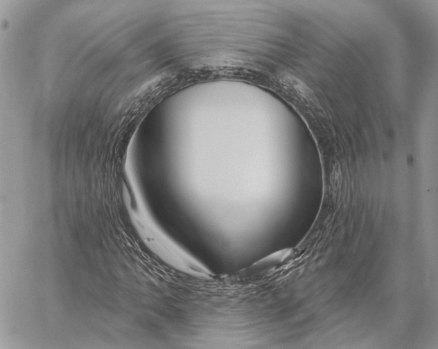 X0000058771062200510211717