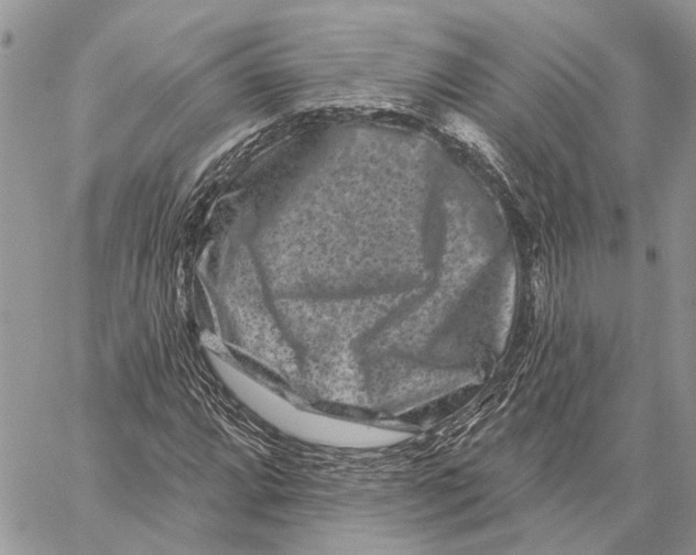 X0000058771064200510211717