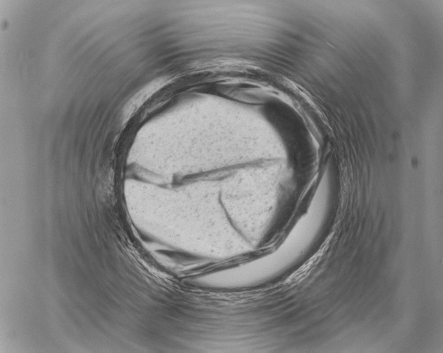 X0000058771066200510211717