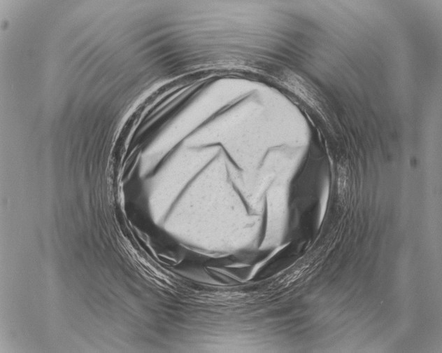 X0000058771068200510211717