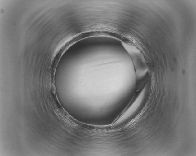 X0000058771069200510211717
