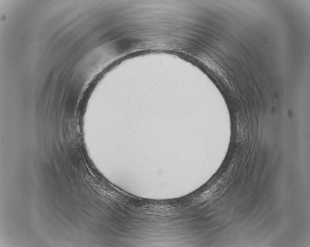 X0000058771070200510211717