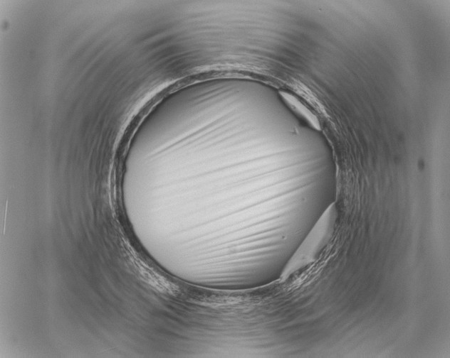 X0000058771076200510211717