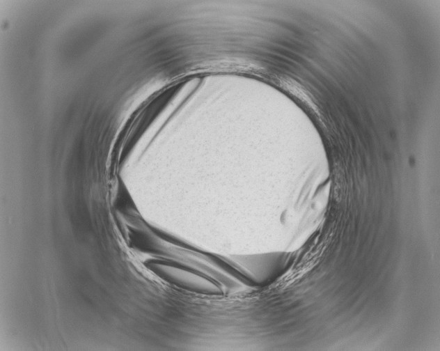 X0000058771087200510211717