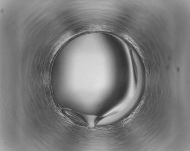 X0000058771089200510211717