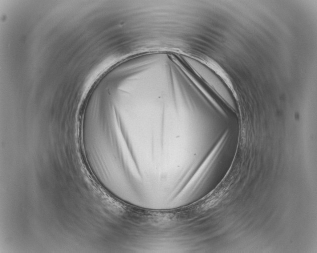 X0000058771096200510211716