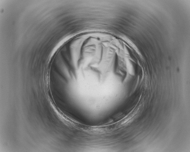 X0000058771101200510211716