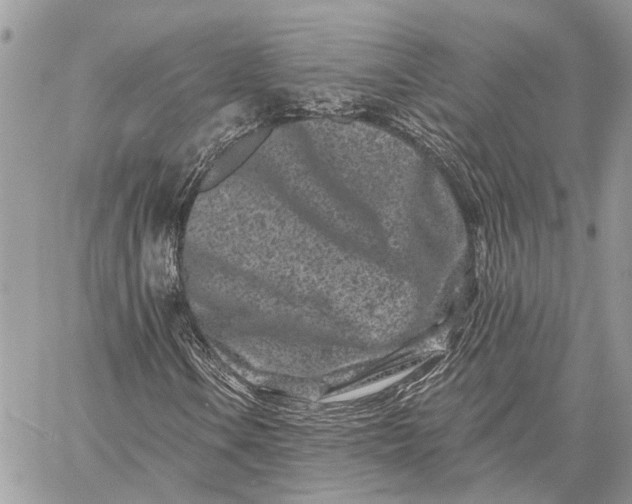 X0000058771106200510211716