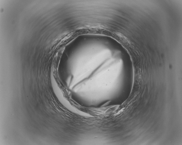 X0000058771110200510211716