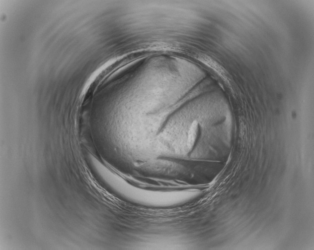 X0000058771120200510211716