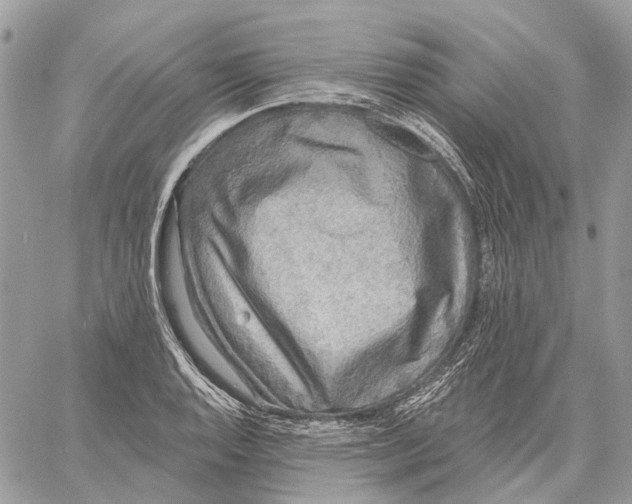 X0000058771128200510211716