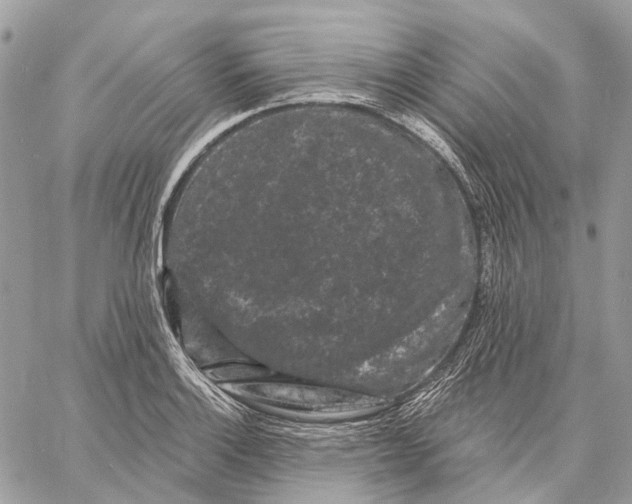 X0000058771132200510211716