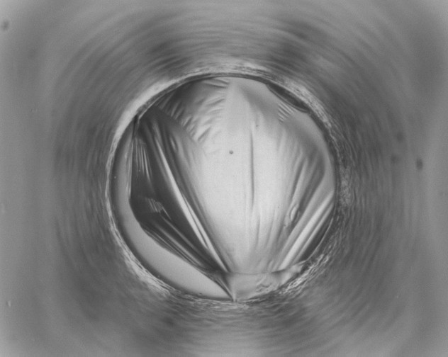 X0000058771136200510211716