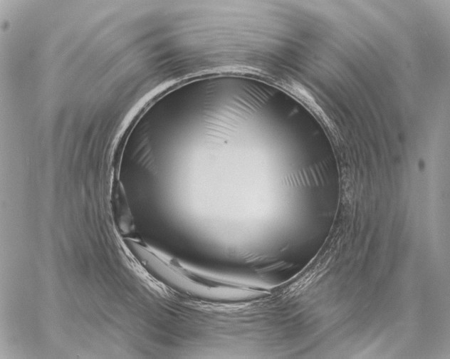 X0000058771140200510211716