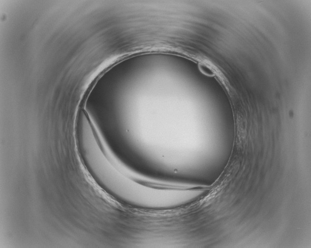 X0000058771142200510211716