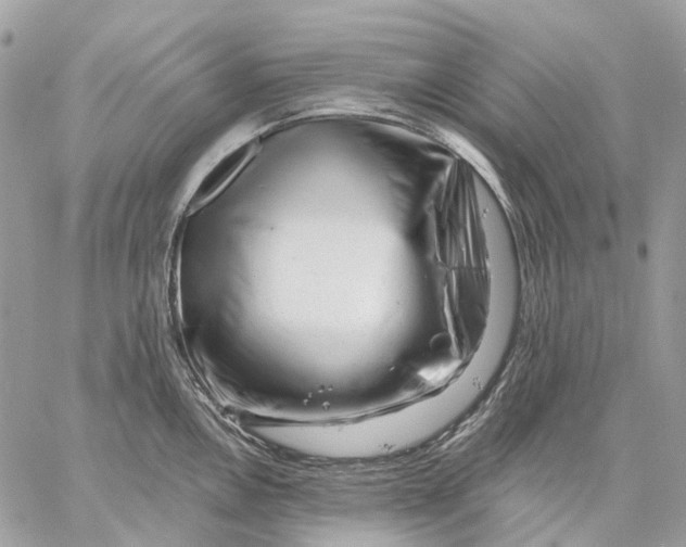 X0000058771146200510211716