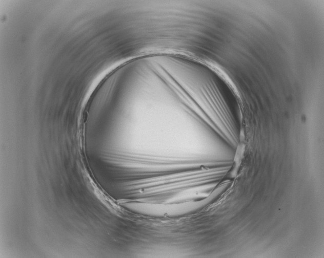 X0000058771148200510211716
