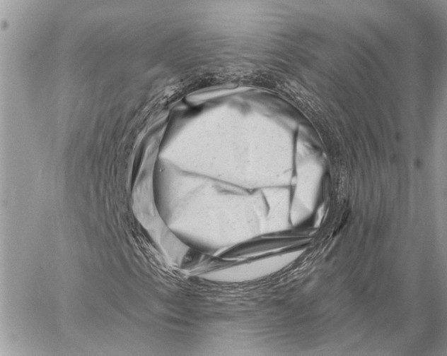 X0000058771153200510211716