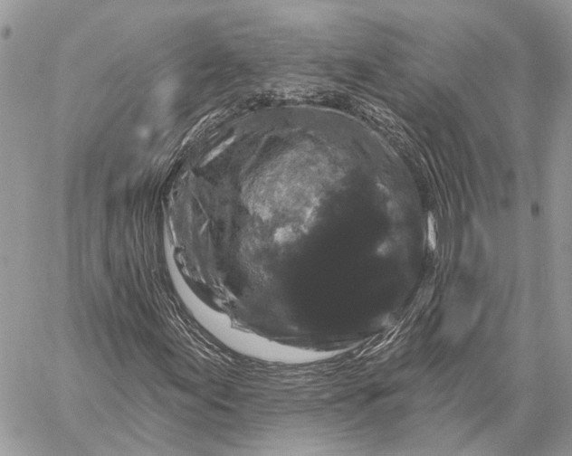 X0000058771155200510211716