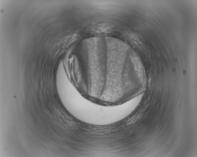 X0000058771156200510211715