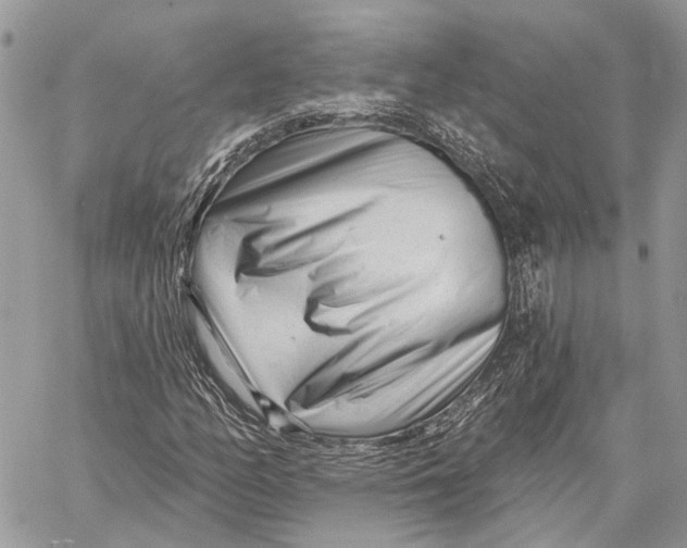 X0000058771158200510211715