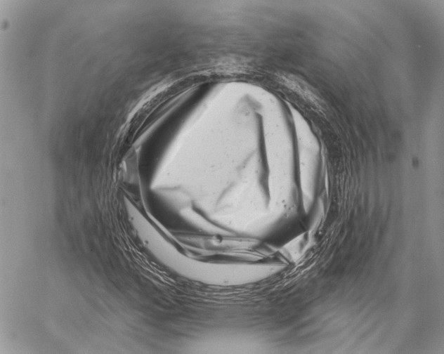 X0000058771160200510211715
