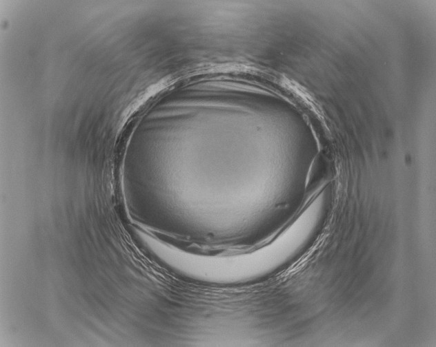 X0000058771165200510211715