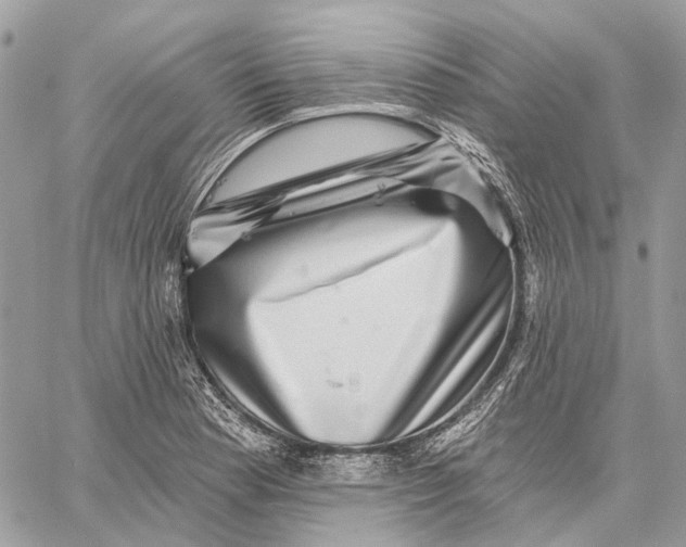 X0000058771177200510211715