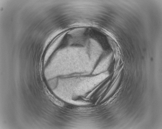 X0000058771179200510211715