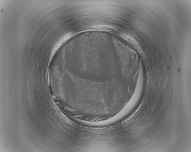 X0000058771180200510211715