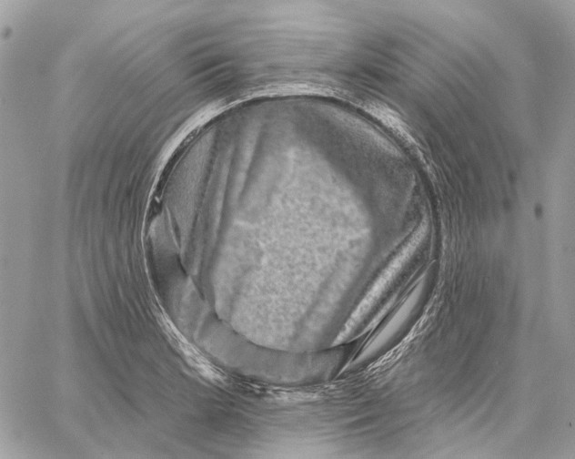 X0000058771181200510211715
