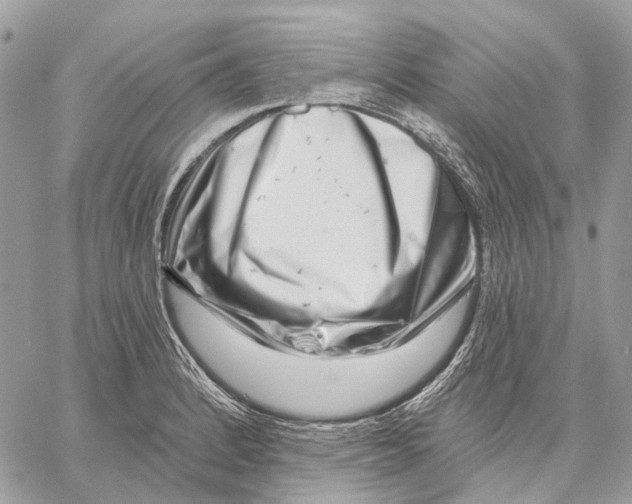 X0000058771184200510211715