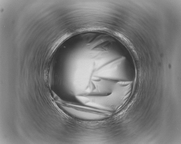 X0000058771185200510211715