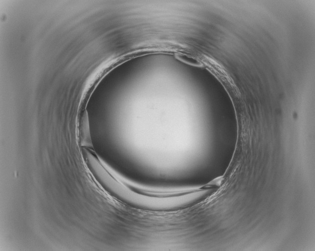 X0000058771188200510211715