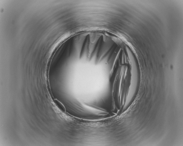 X0000058771189200510211715