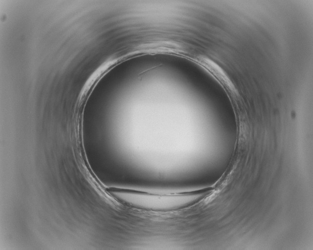X0000058771196200510211715