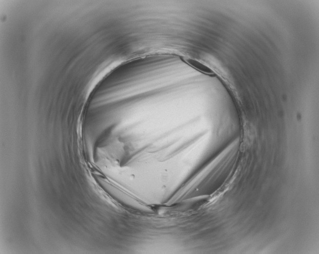 X0000058771198200510211715