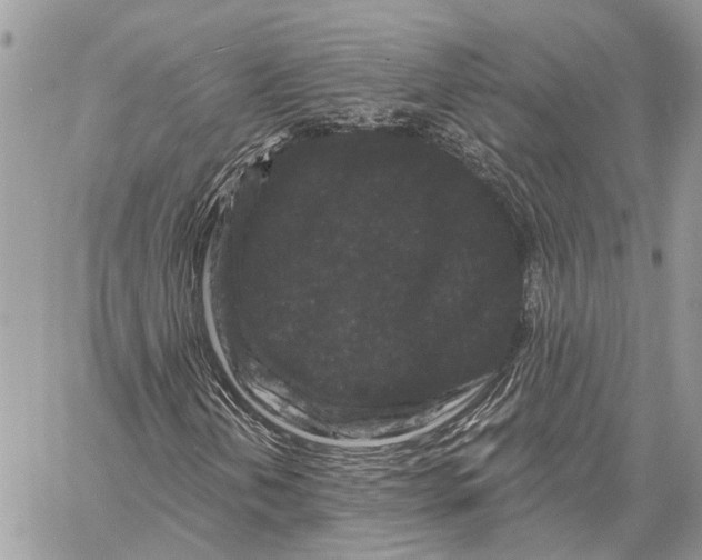 X0000058771202200510211714