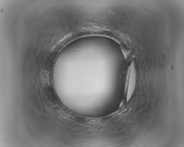 X0000058771205200510211714