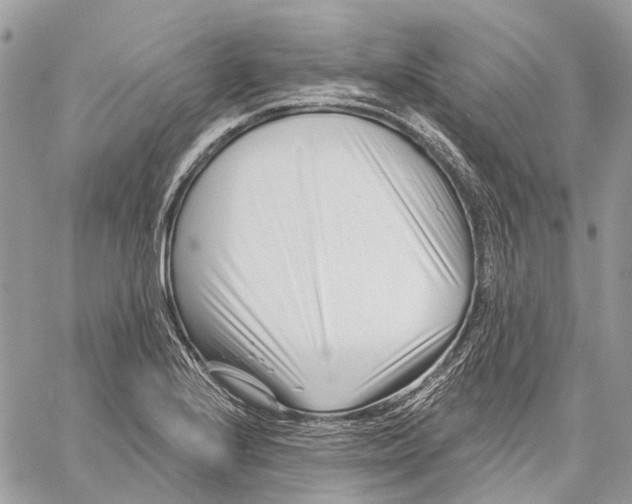 X0000058771224200510211714