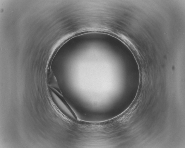 X0000058771238200510211715