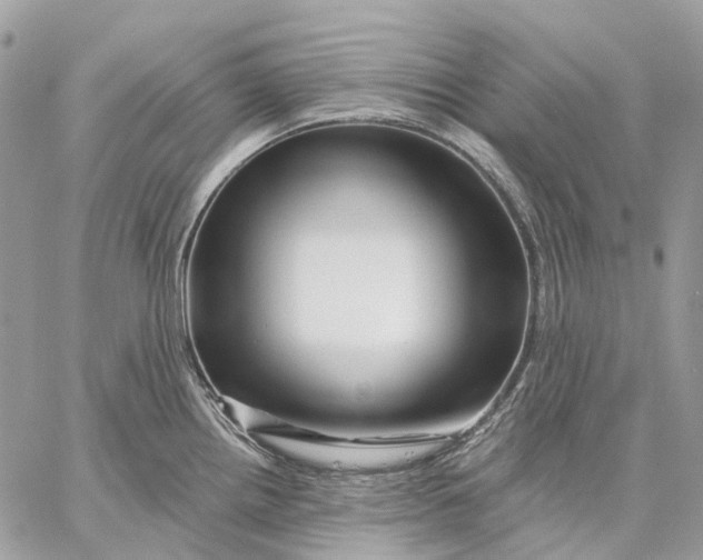 X0000058771242200510211715