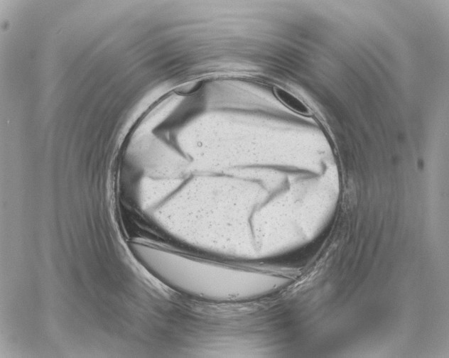 X0000058771243200510211715
