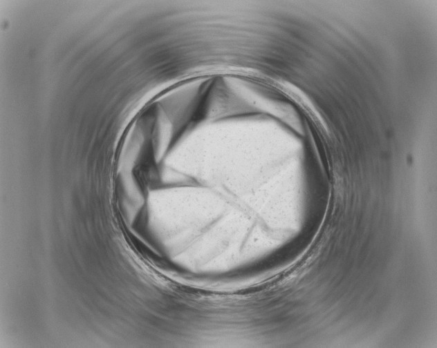 X0000058771244200510211715