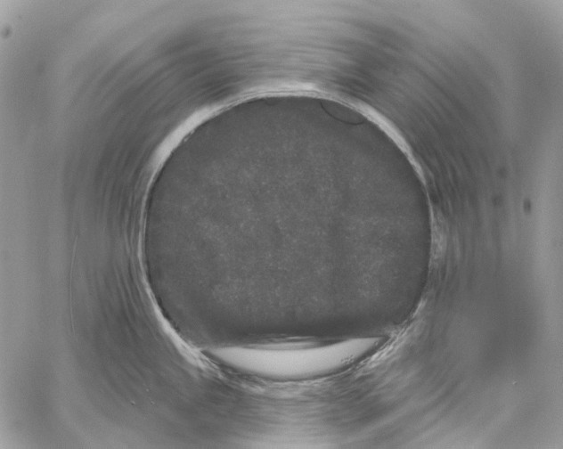 X0000058771245200510211715