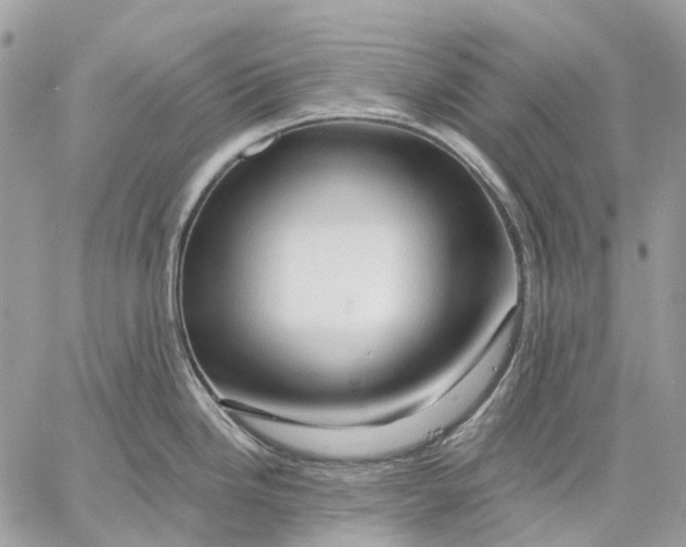 X0000058771246200510211715